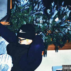 国产一产一极AV片
