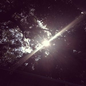 国产一产一极AV片
