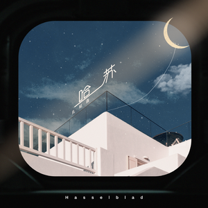 国产一产一极AV片
