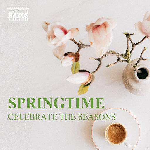 国产一产一极AV片
